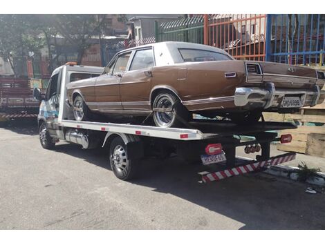 Chamar Guincho na Rodovia BR 116